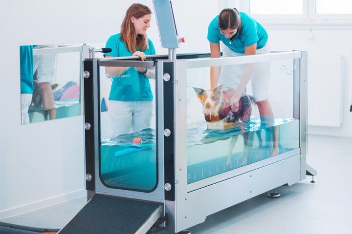 HydroPhysio