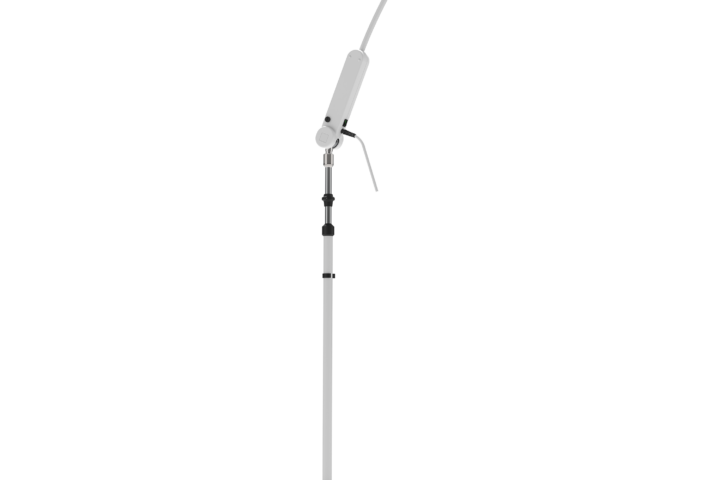 Provita