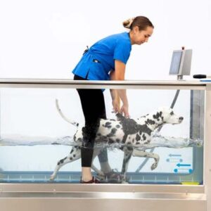 Hydrophysio hidrocaminadora canina
