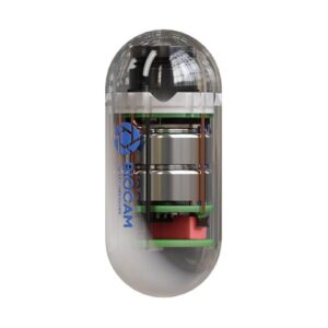 BioCam Capsula Veterinario Endoscopia