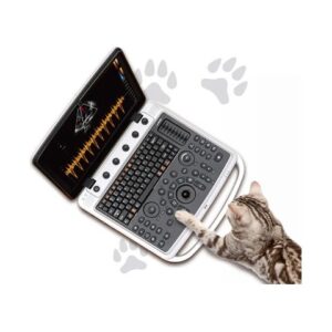 Chison SonoBook Gato